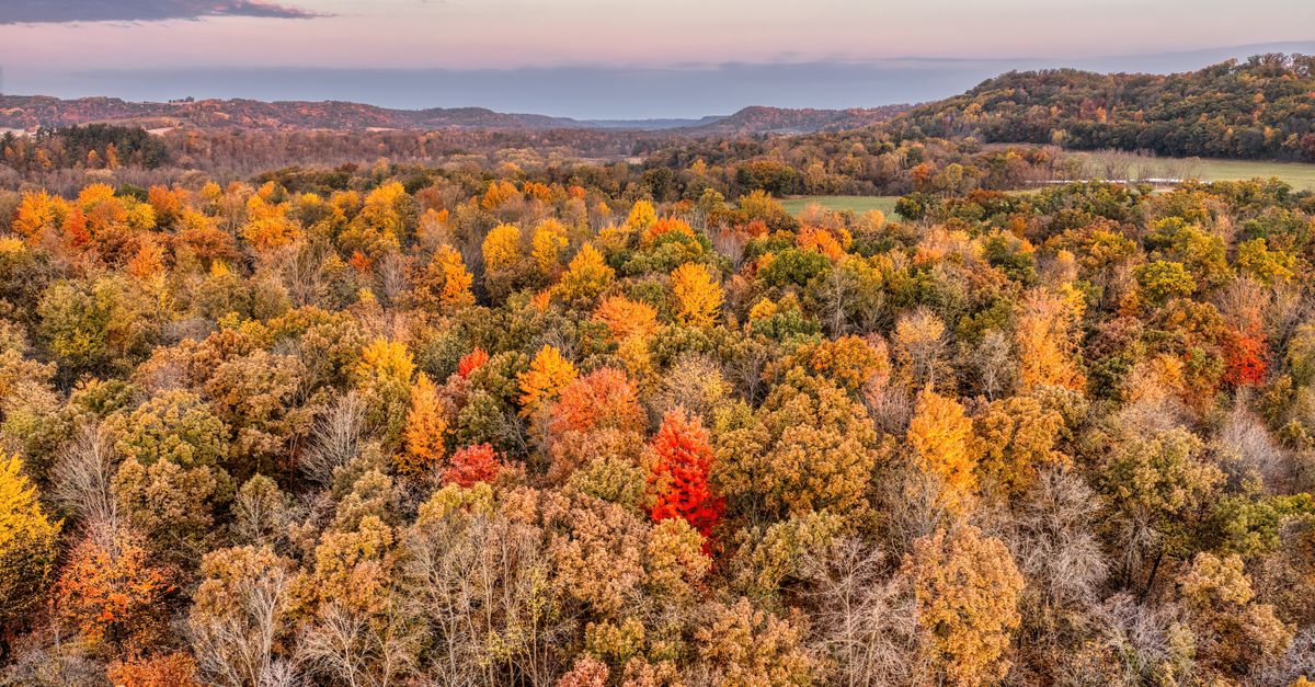 Vibrant fall foliage in Ella, Wisconsin, captured from above at sunrise.