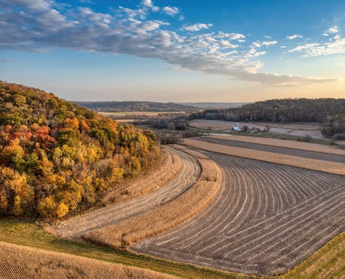 Why Fall Feels Fake in the Southern U.S.