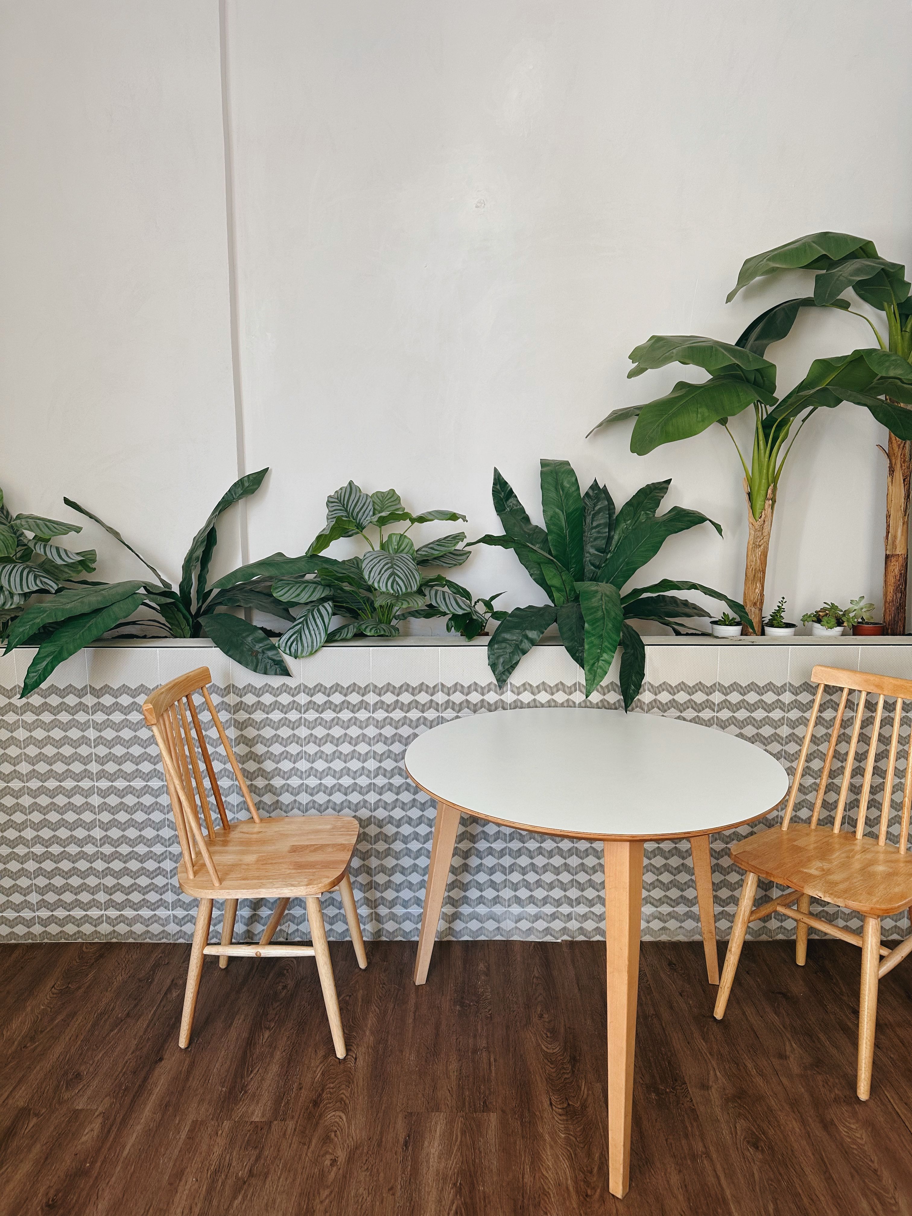 Picture of Minimalist Indoor Plant Decor with Modern Furniture · Free Stock Photo