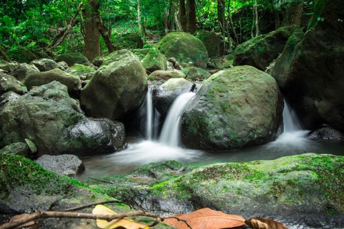 Free Serene waterfall cascading through mossy rocks in a lush green forest setting. Stock Photo