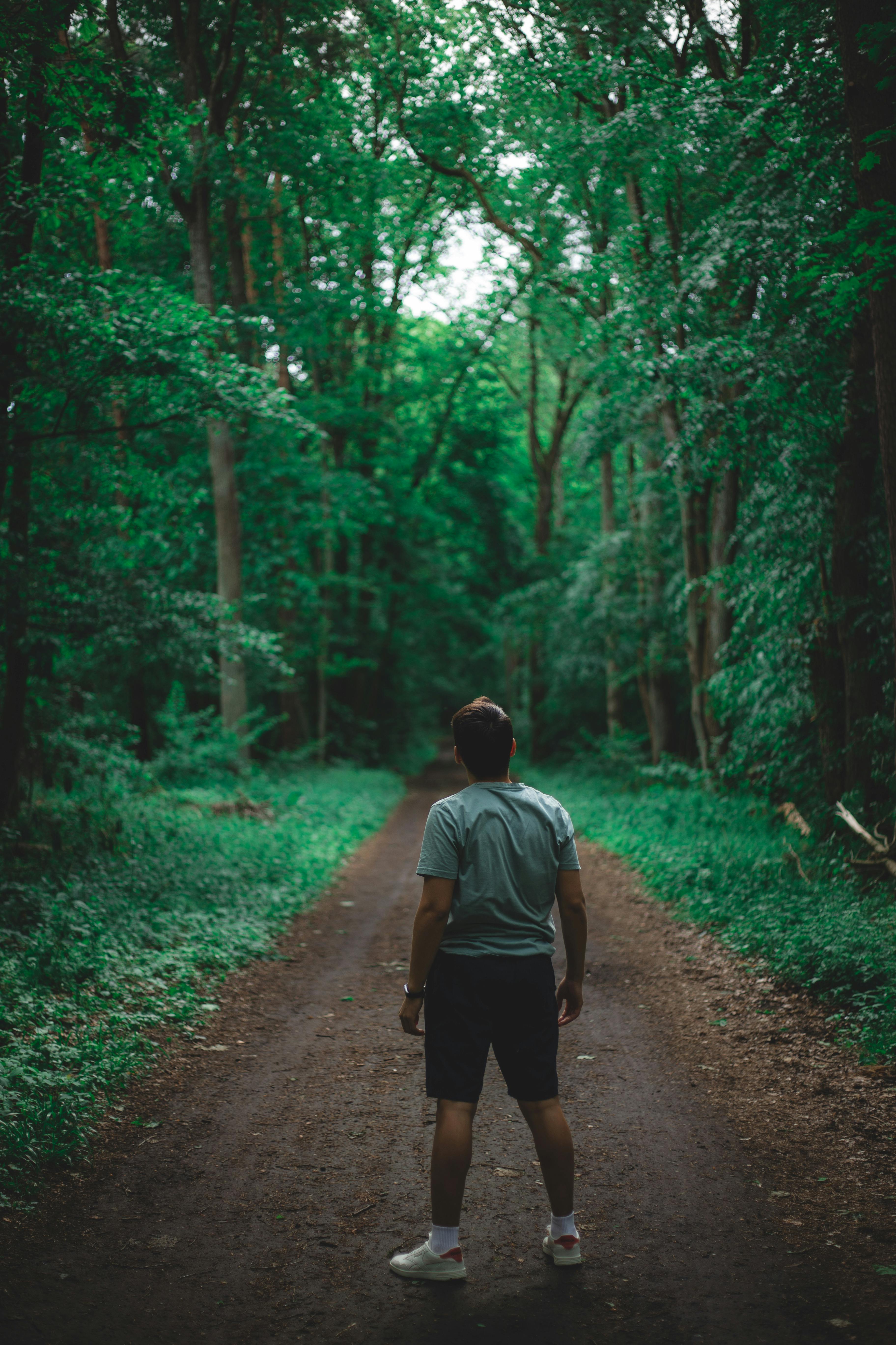 A man standing on a forest path surrounded by lush green trees, creating a serene outdoor atmosphere.
