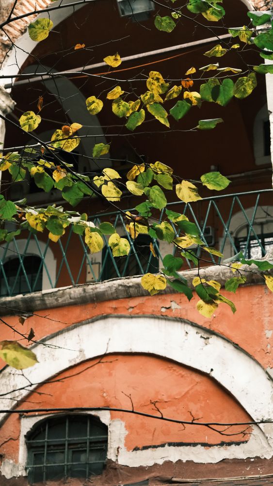 Fall Window Photos, Download The BEST Free Fall Window Stock Photos ...
