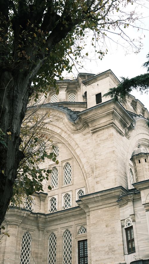 Free Beautiful view of Ottoman architecture with an autumn tree. Stock Photo
