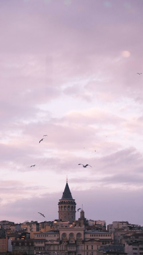 Free Captivating view of Galata Tower and Istanbul's skyline at dusk with birds. Stock Photo