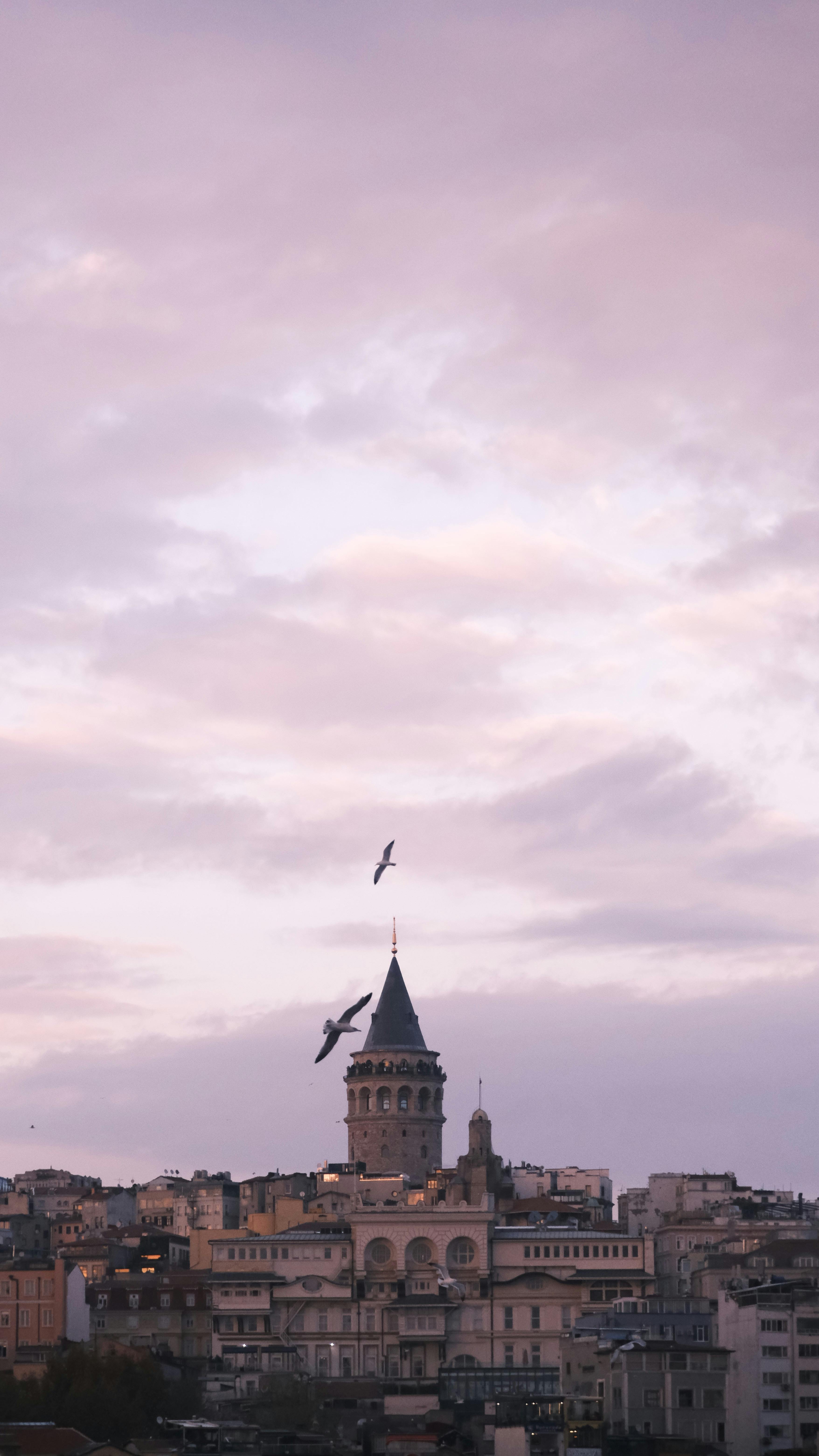 Scenic view of Galata Tower at dusk with seagulls flying over Istanbul's skyline.