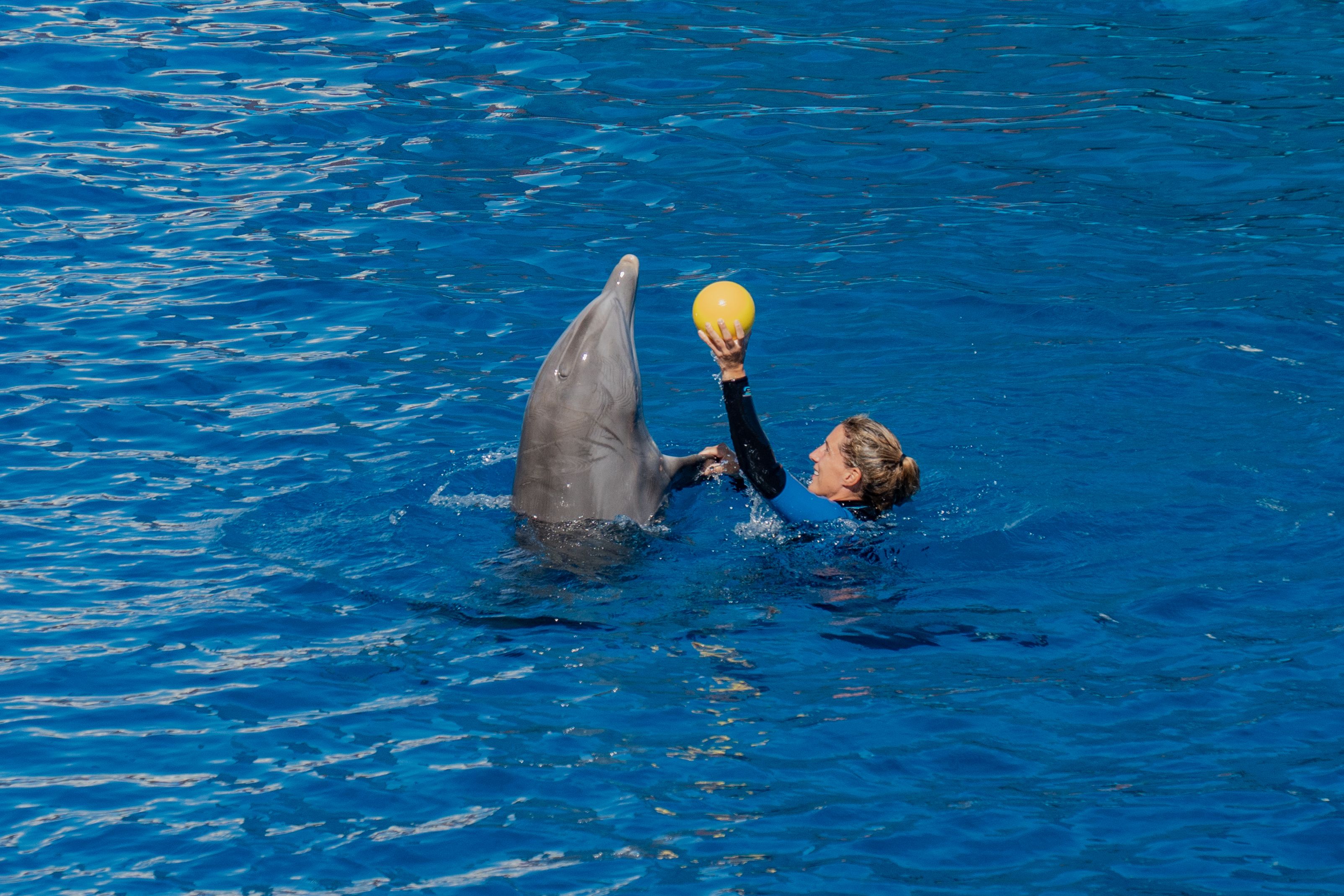 Postgraduate Certificate in Marine Biology Education and Training Management 