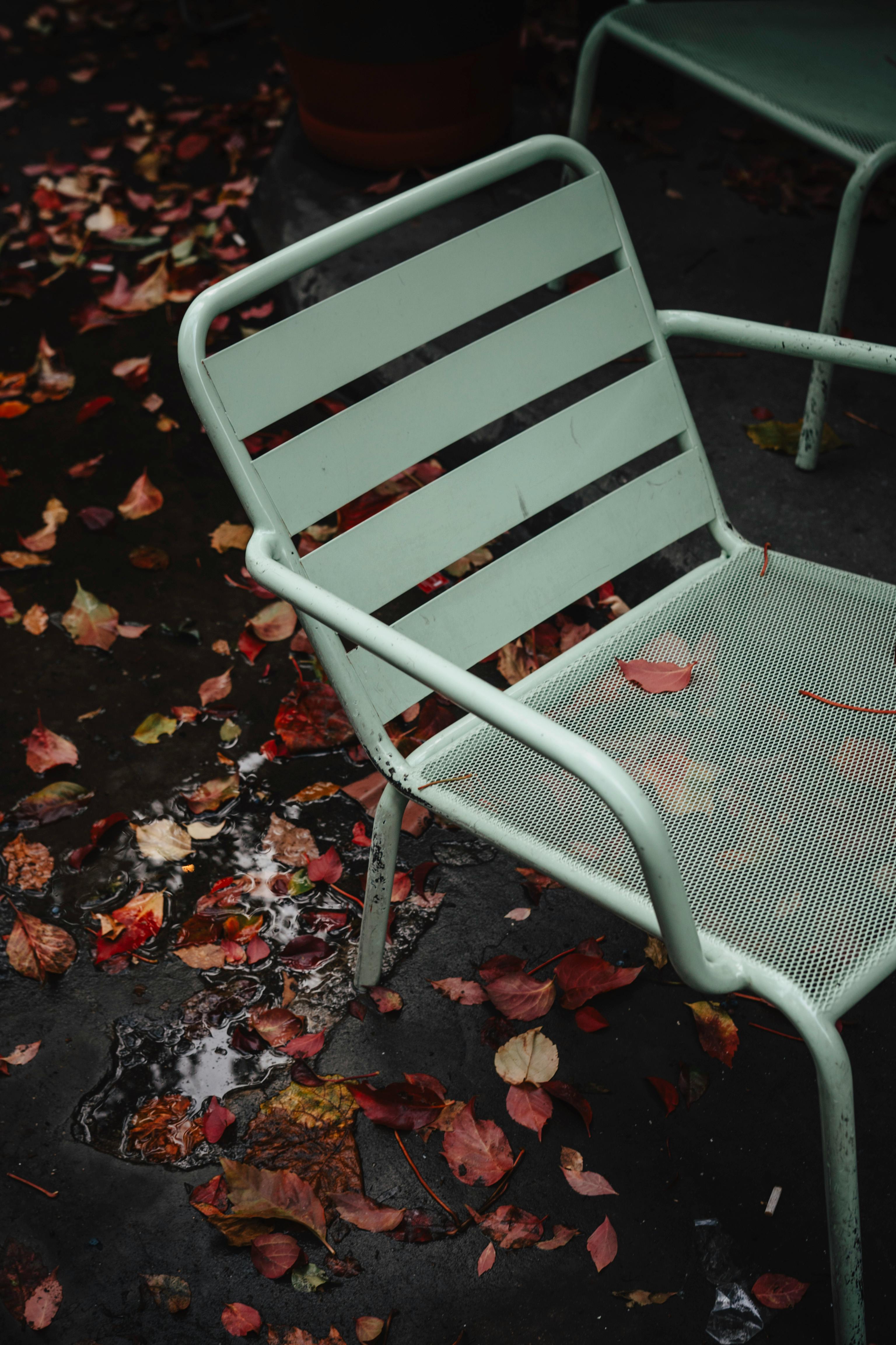 A metal chair in an outdoor setting surrounded by scattered autumn leaves and puddles.