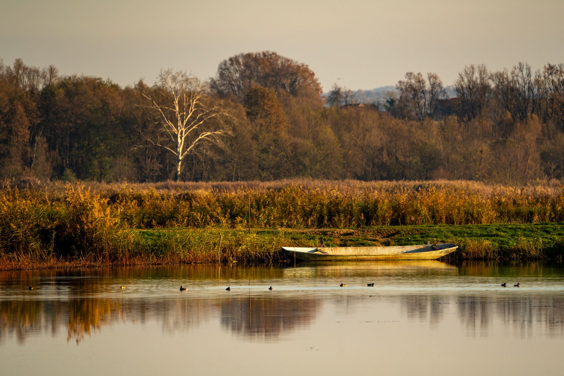 A peaceful scene of a lone boat on a calm lake surrounded by autumn foliage in Kaniška Iva, Croatia.
