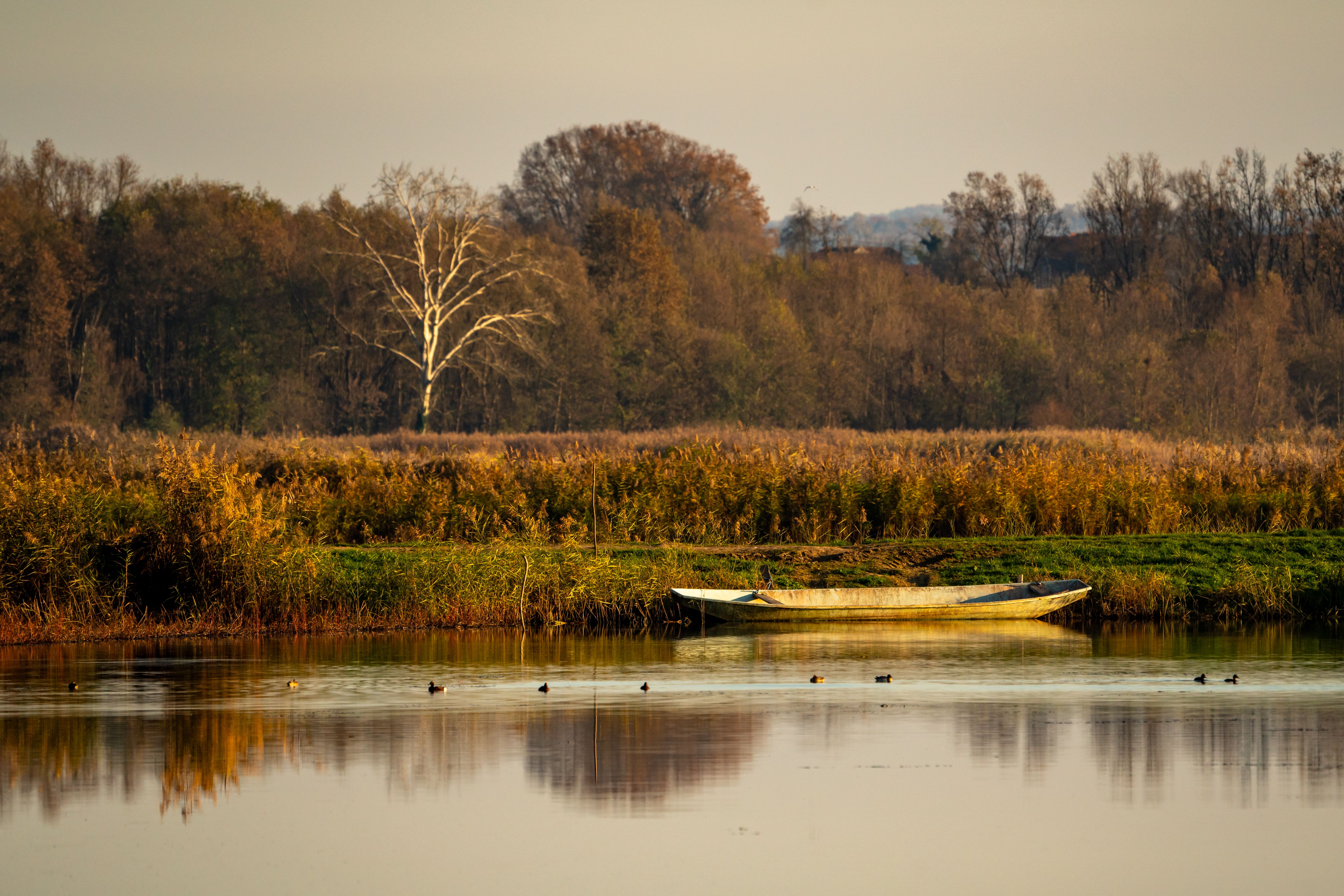Serene Autumn Landscape with Boat on Tranquil Lake · Free Stock Photo