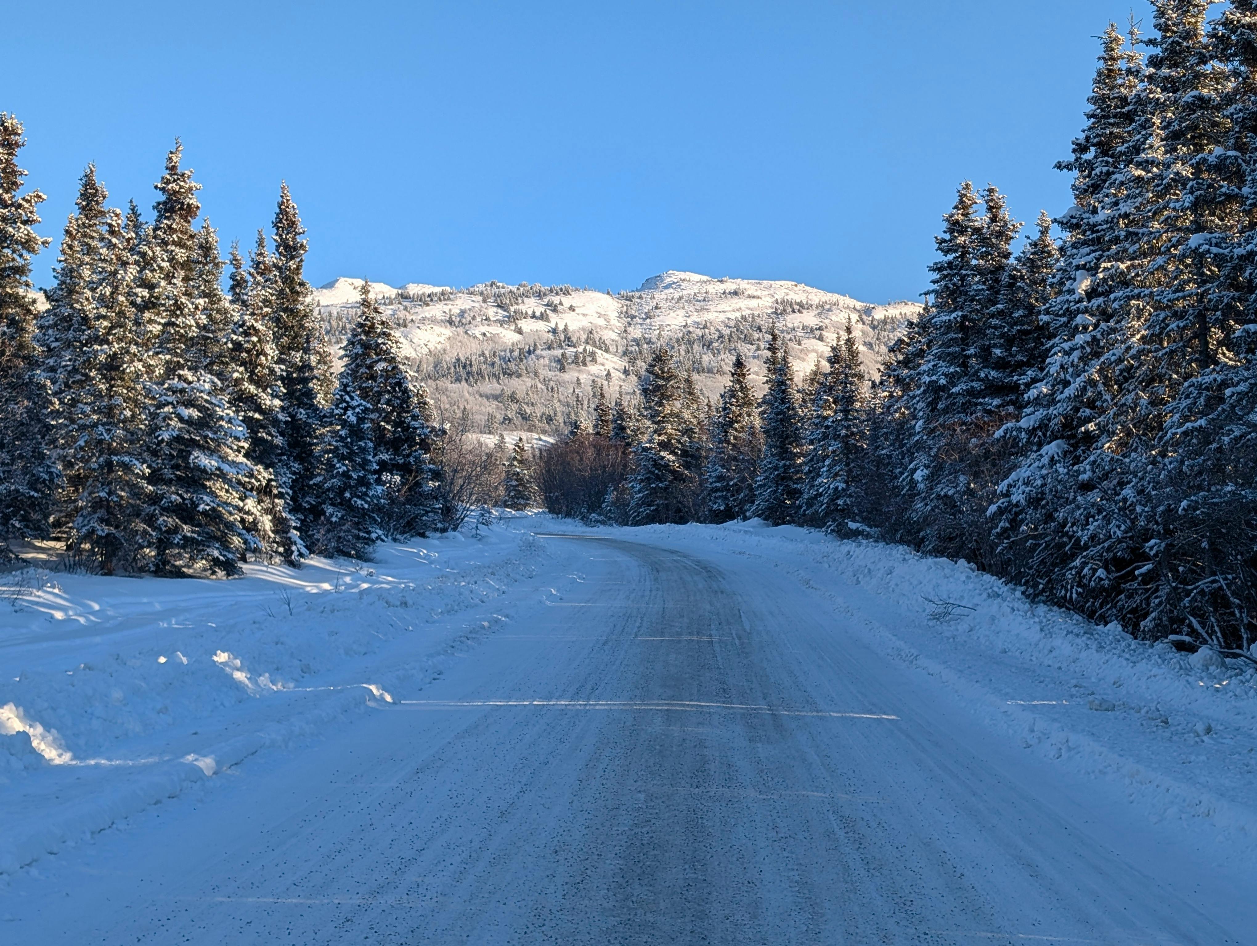 pexels-photo-29488184.jpeg?