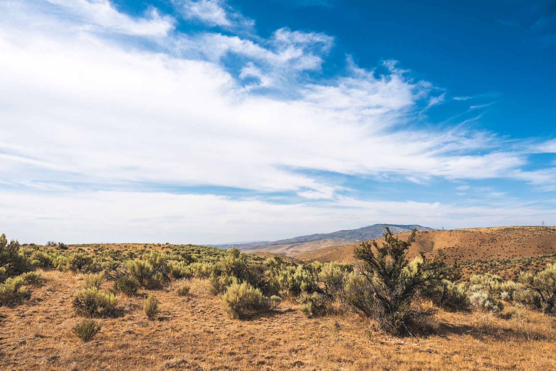 Idyllic sagebrush landscape under clear blue skies in Boise, Idaho