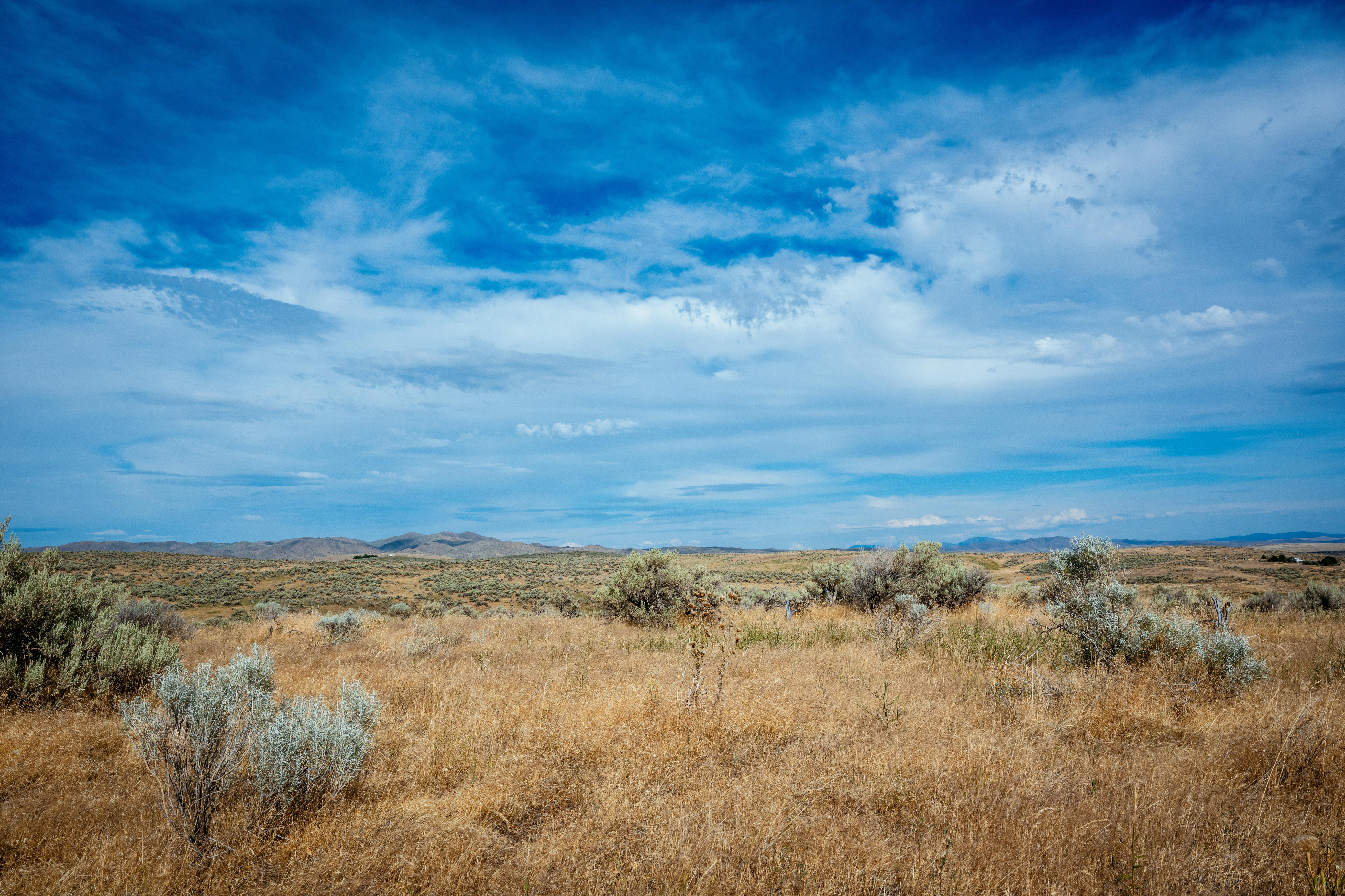 Idaho lawmakers eye reforms to child custody laws — Photo by Brett Sayles on Pexels