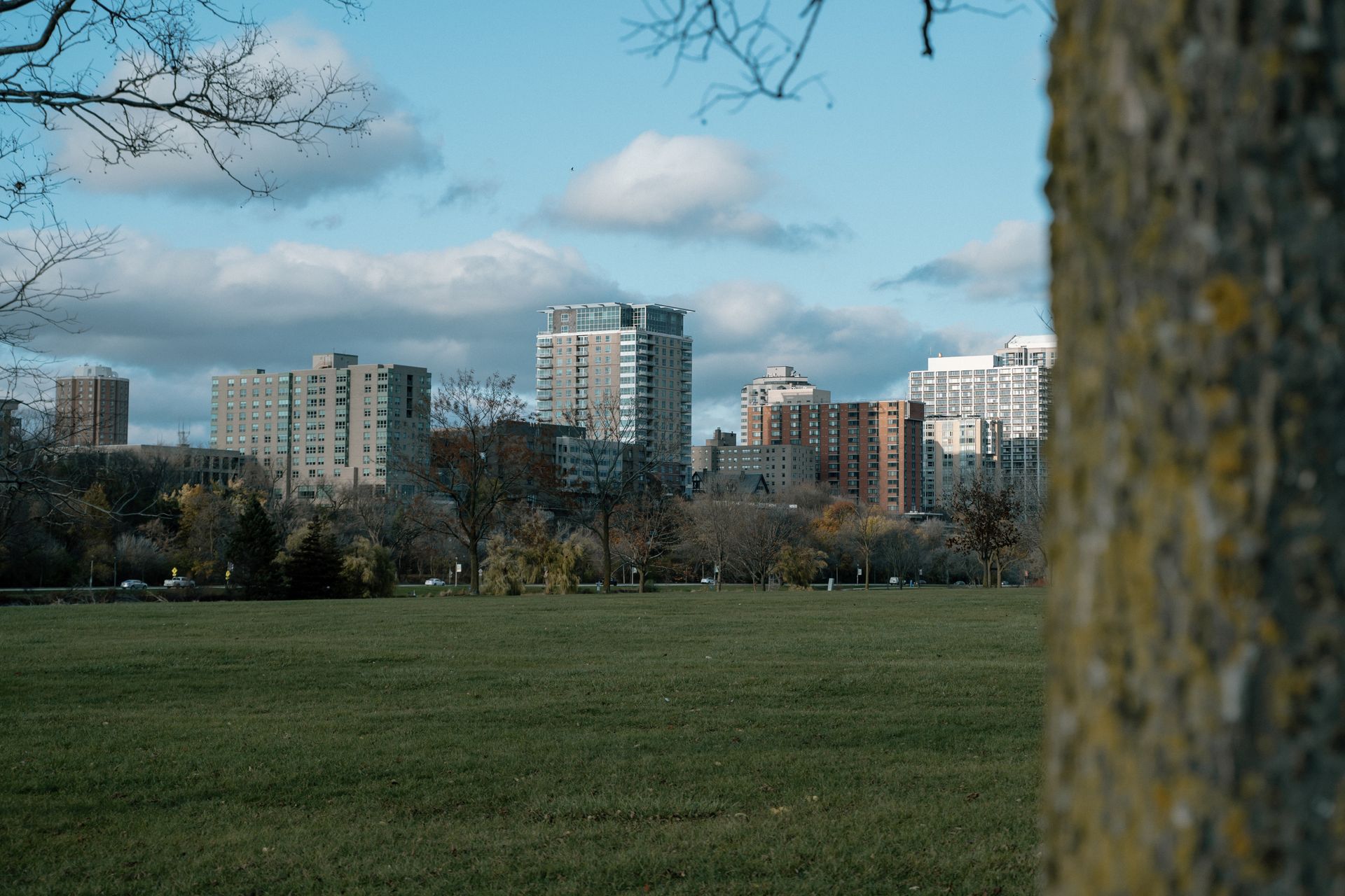Scenic view of Milwaukee skyline from a park on a clear day.