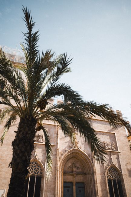 Stunning view of a Gothic cathedral facade alongside a palm tree in Valencia, Spain.
