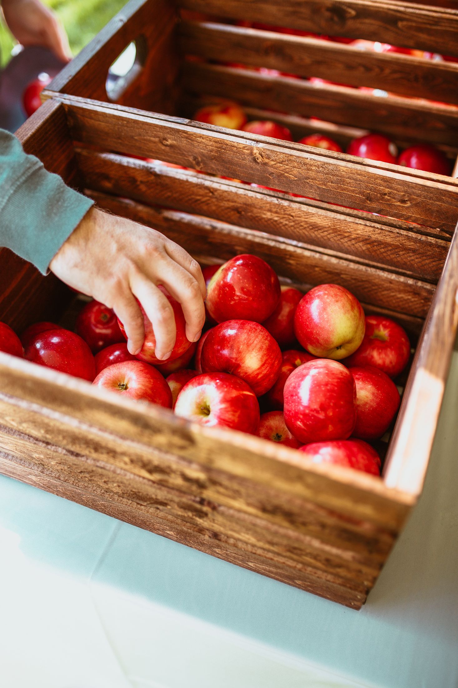 Freshly picked red apples being sorted into a wooden crate at a Farmsons packhouse