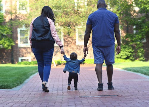 가족, 걷고 있는, 공원의 무료 스톡 사진