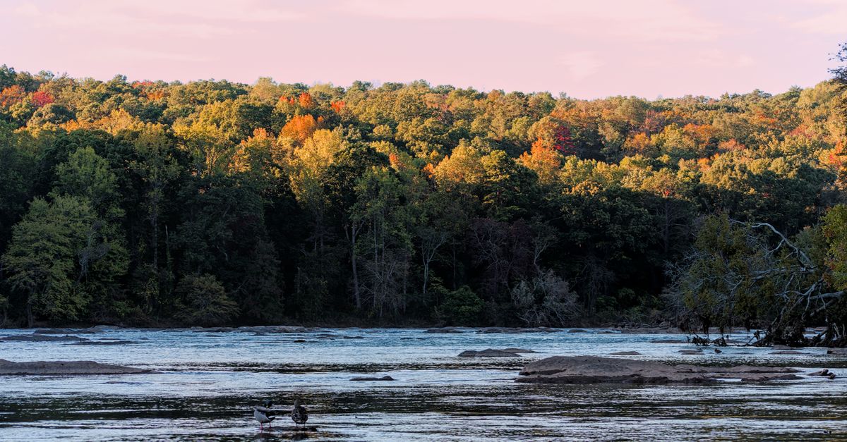 Peaceful autumn view of Chattahoochee River with colorful forest in Atlanta, Georgia.