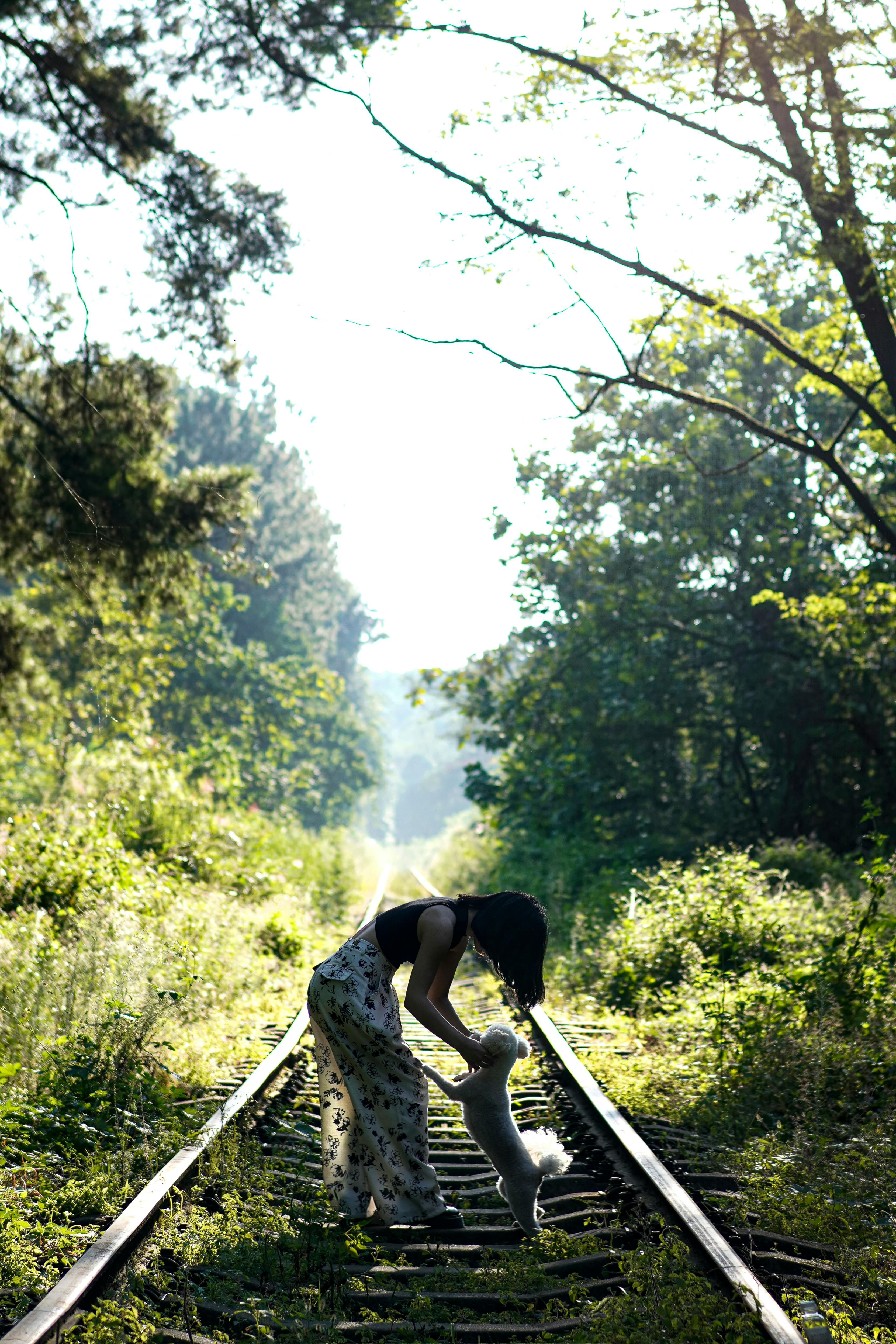 A woman playing with her dog on a sunlit, lush green railroad track.