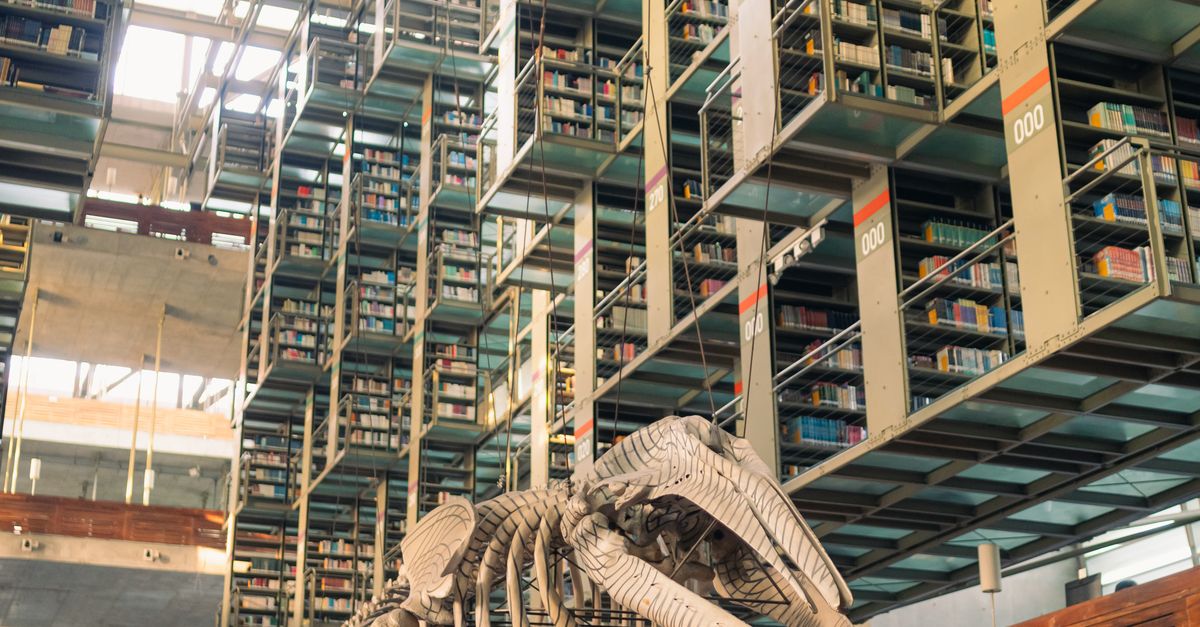 Modern library with whale skeleton in Mexico City · Free Stock Photo