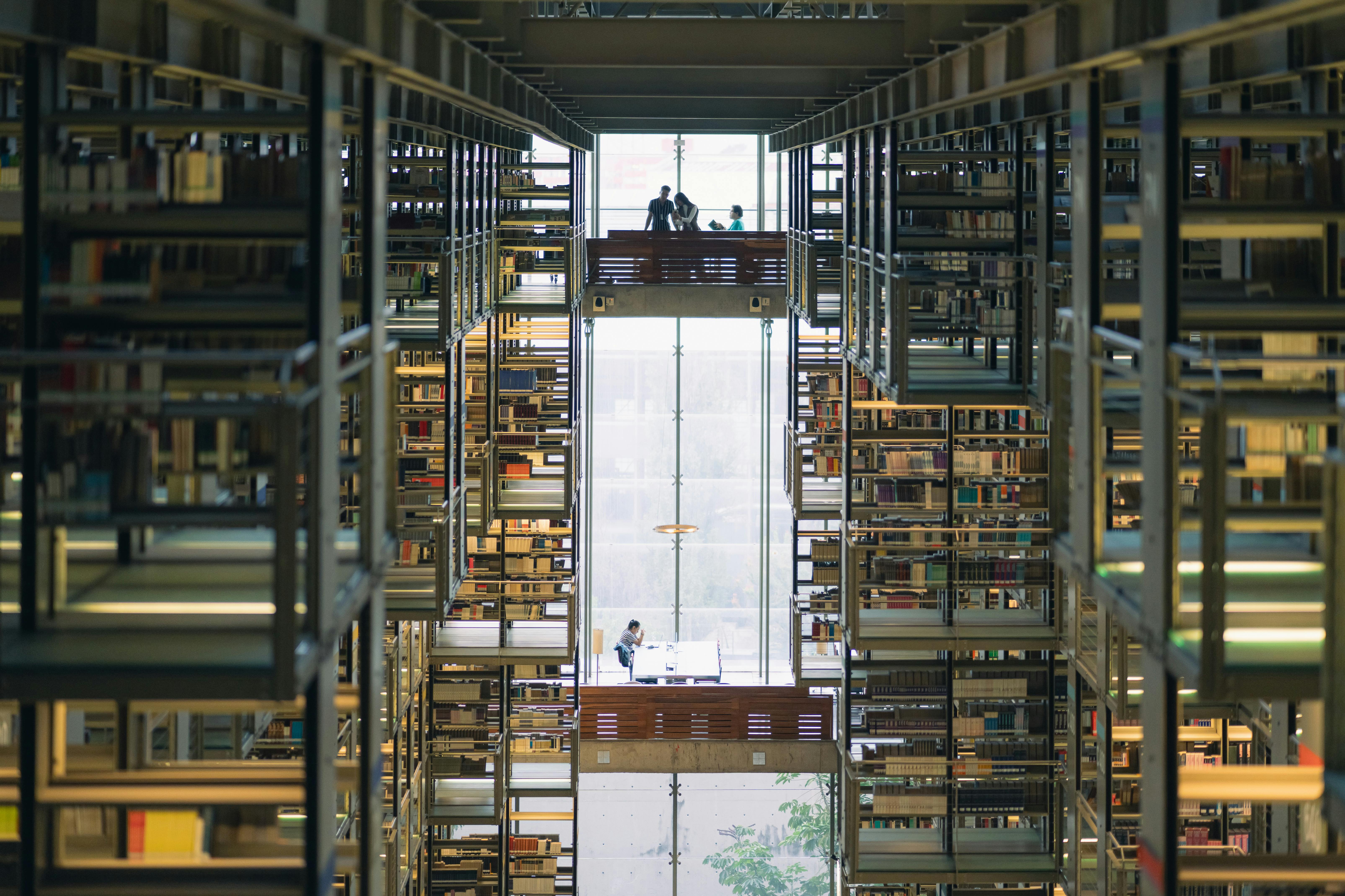 modern library with large windows, people reading on couches, natural light