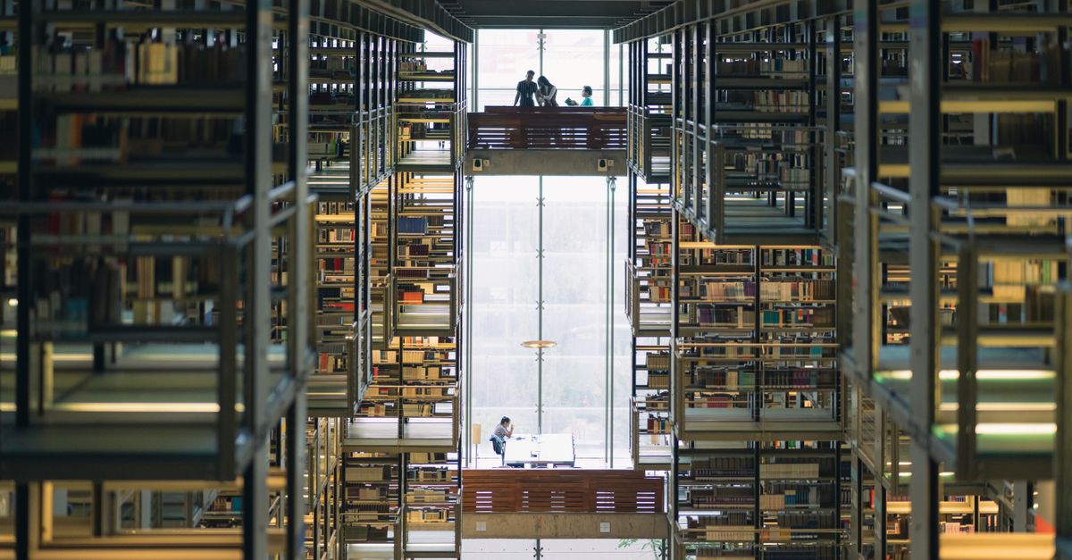 modern library with large windows, people reading on couches, natural light