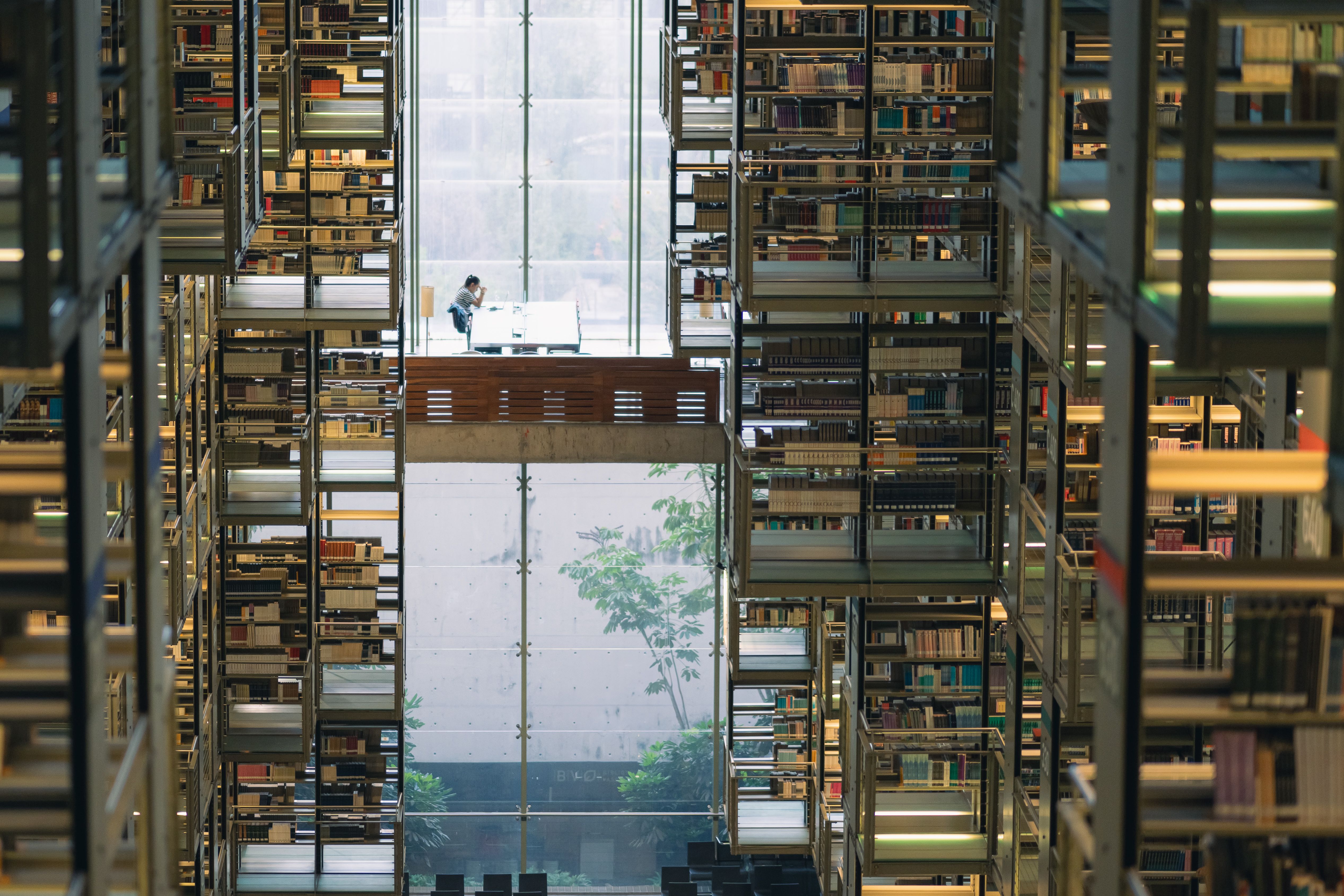 Inside view of a modern library with bookshelves and a central seating area in Mexico City.