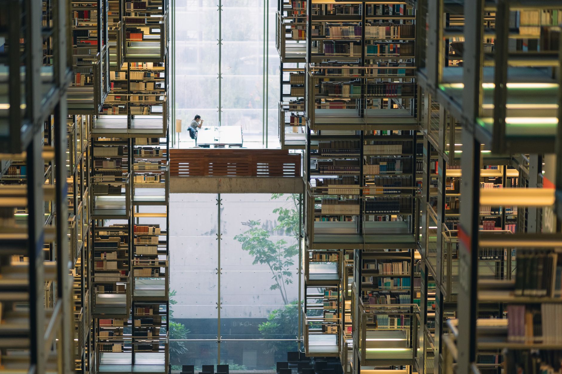 Inside view of a modern library with bookshelves and a central seating area in Mexico City.