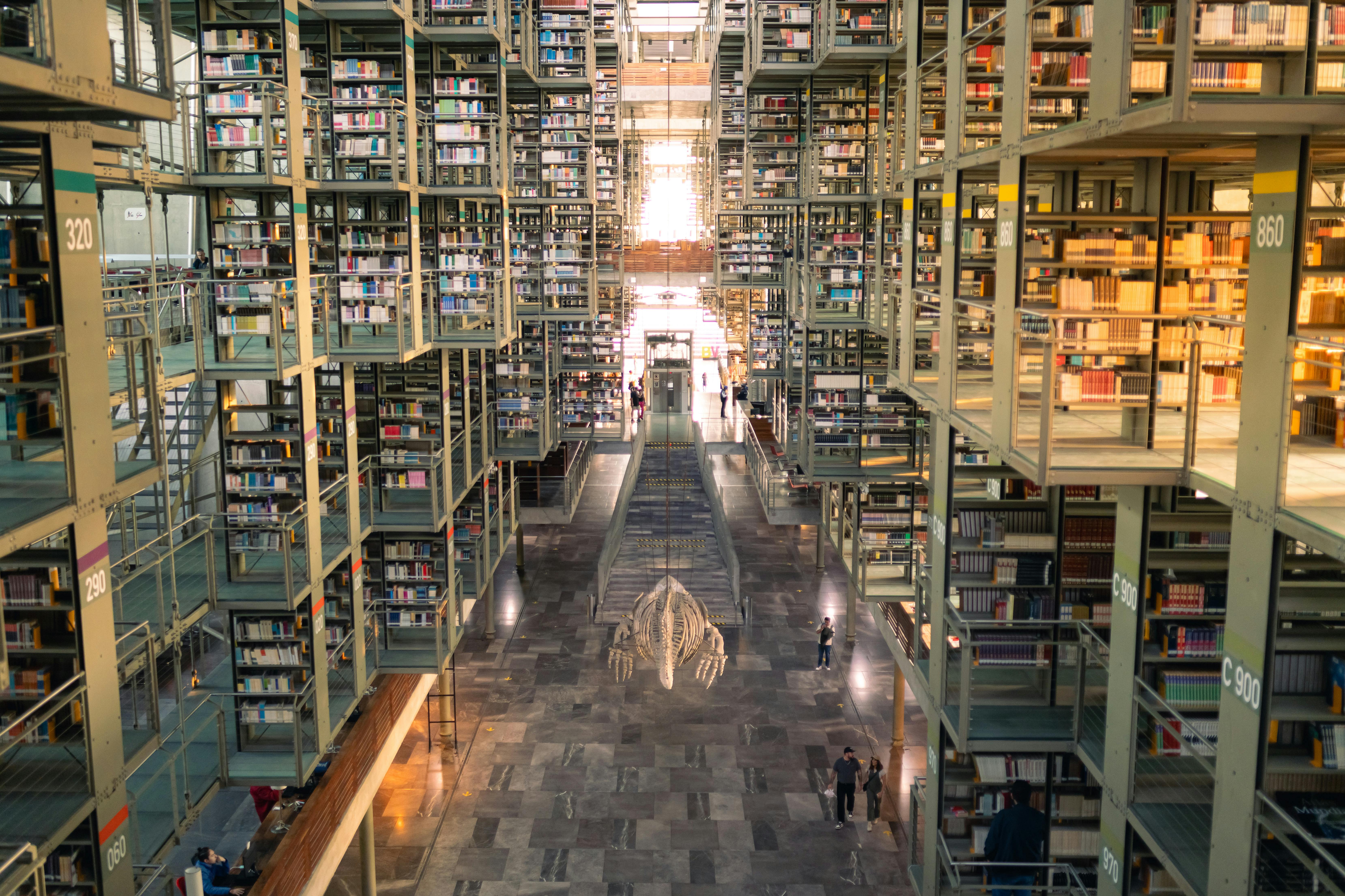 Anime’s Knowledge Cultures: Geek, Otaku, Zhai — Photo by Julio Lopez on Pexels