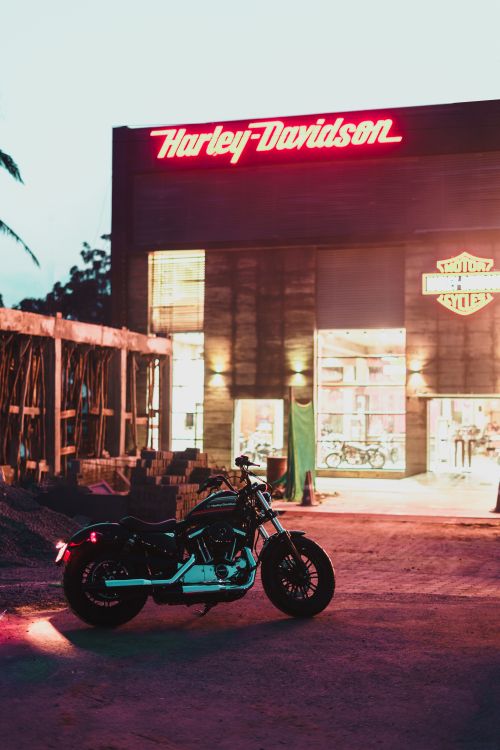 1000+ Amazing Bike Ride Photos · Pexels · Free Stock Photos
