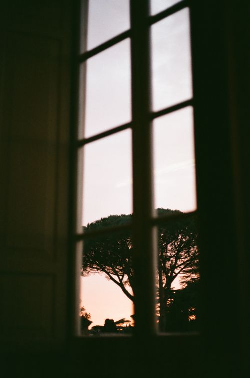 Free Calm view of a tree silhouette during sunset seen through a window. Stock Photo