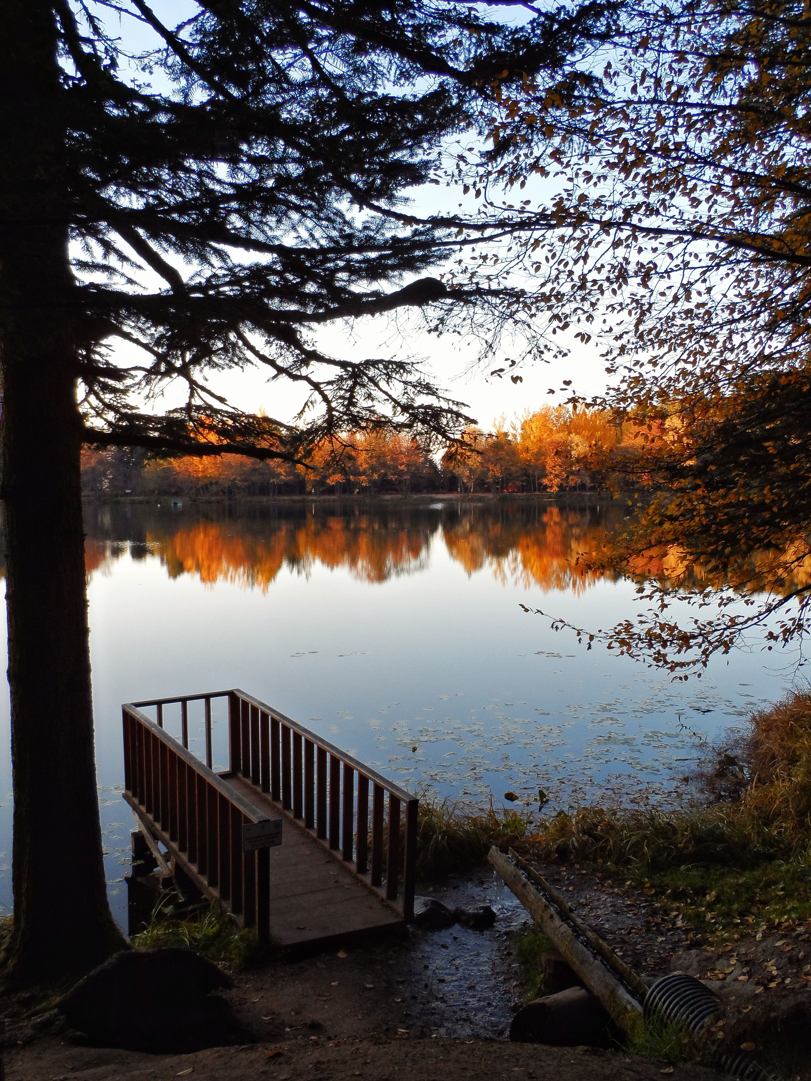 Autumn Reflection on Tranquil Lake at Sunset · Free Stock Photo