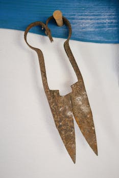 A pair of antique rusty shears hanging on a white and blue textured wall.