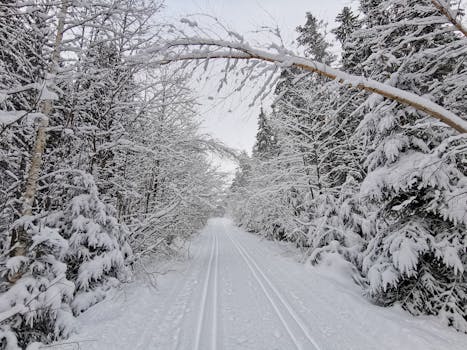 A serene snowy trail winding through a picturesque winter forest landscape.