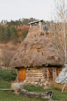 Charming rustic Romanian cottage with thatch roof in serene village setting.