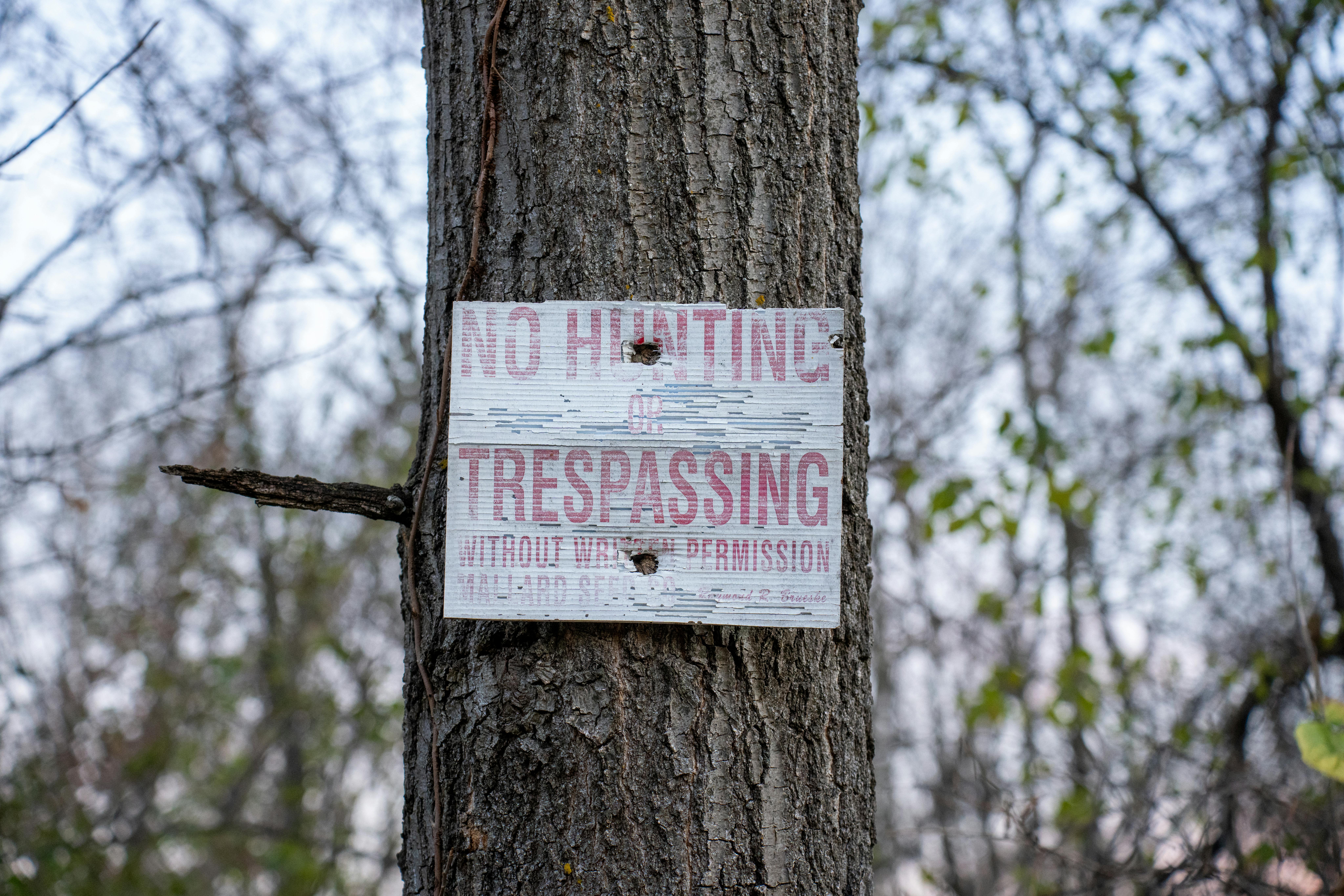藍白聯手第6度封殺國防特別條例 行政院怒批浪費防衛時間