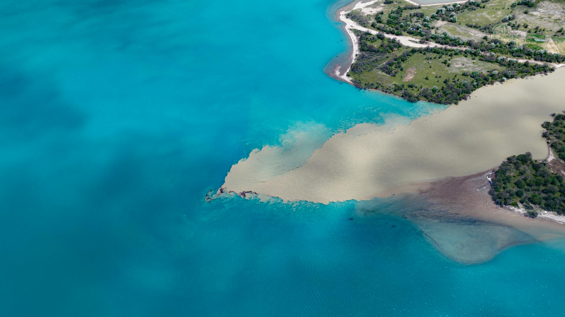 Stunning aerial view of blue water meeting lush shoreline, showcasing natural beauty.