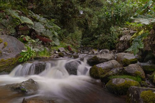 Free Tranquil river flowing through lush vegetation in El Tejar, Cartago, Costa Rica, showcasing stunning natural beauty. Stock Photo