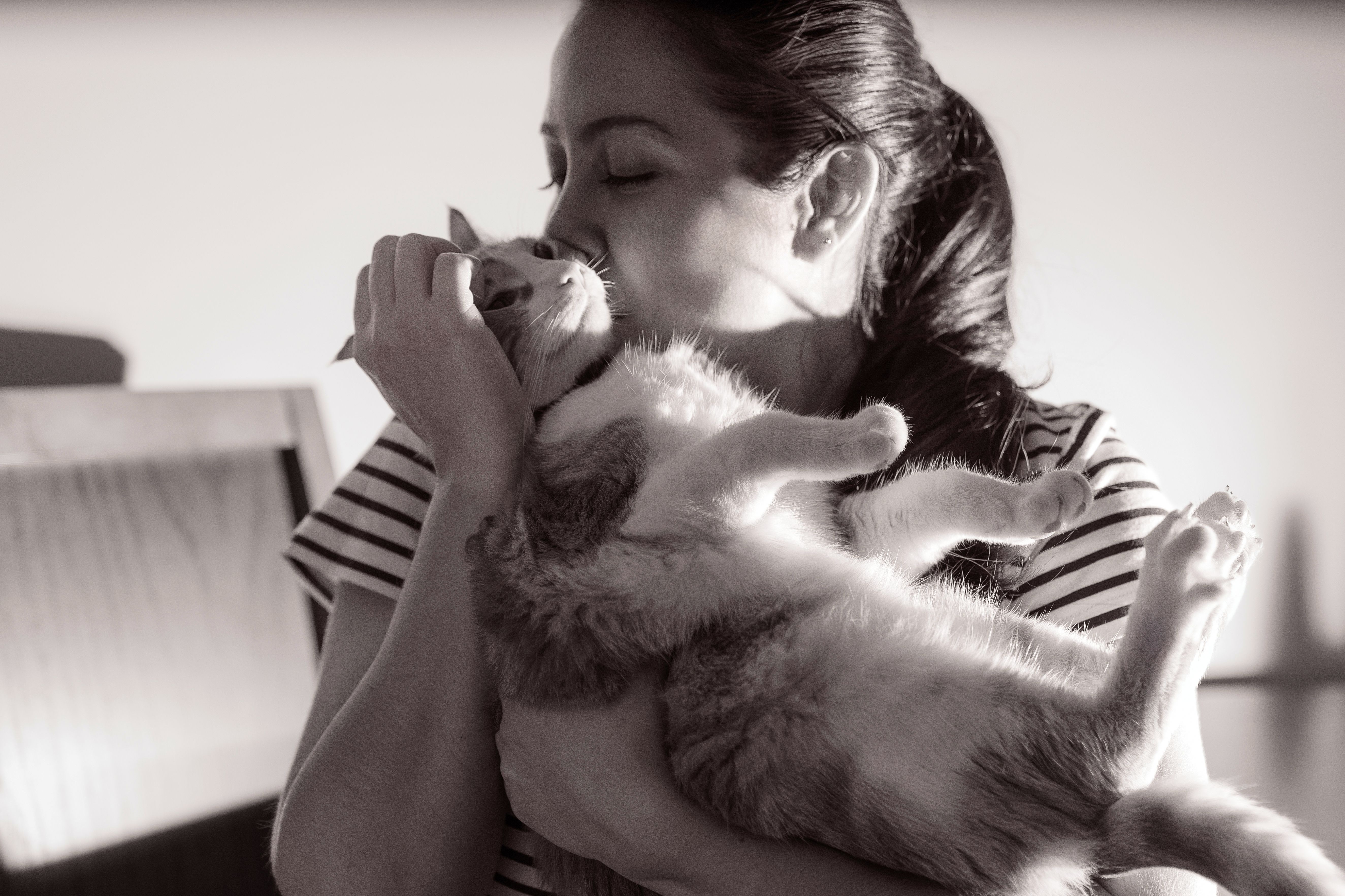 pet care pet safety — Photo by Mario Spencer on Pexels