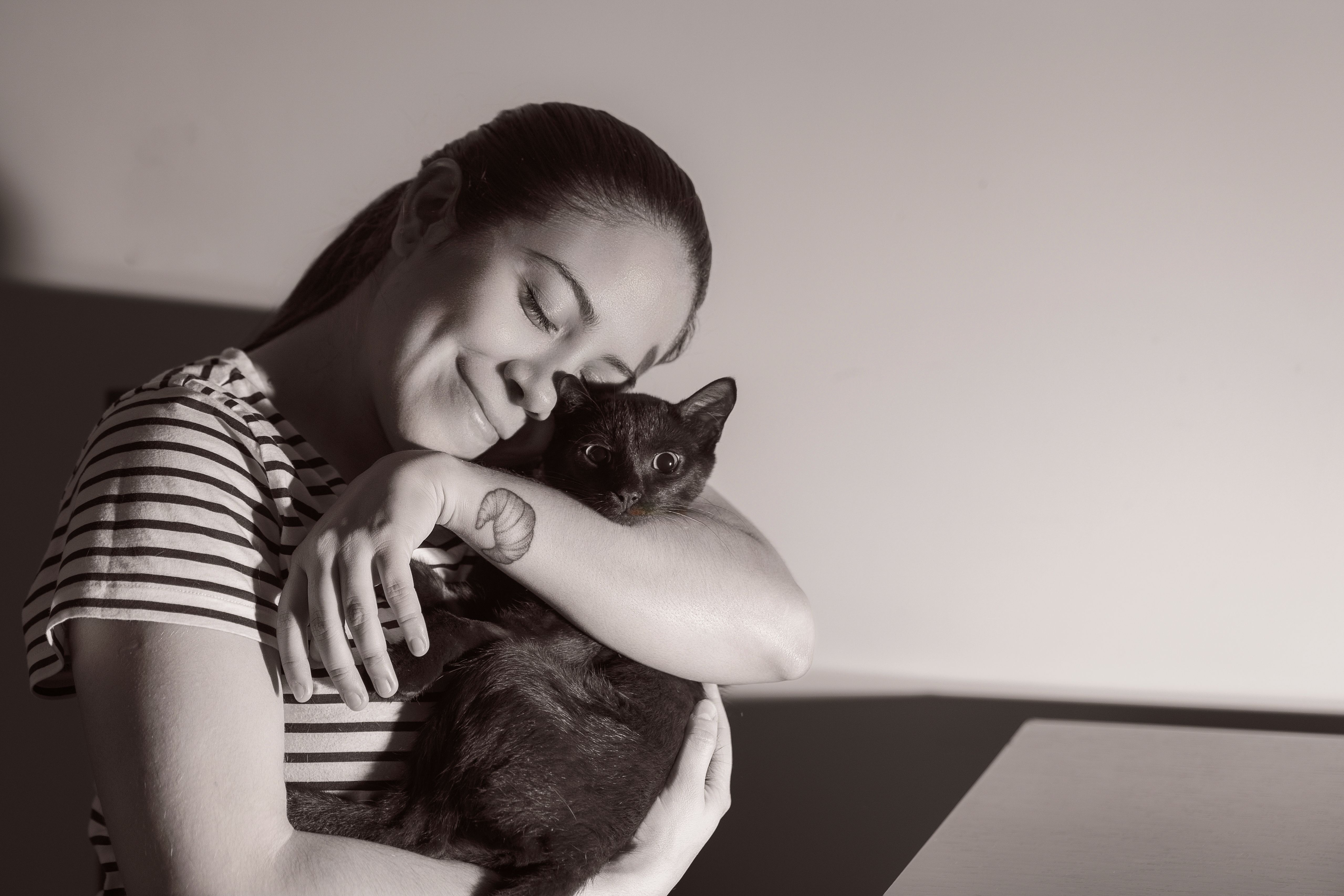 Cómo encontrar ONGs locales de bienestar animal y hacer la diferencia