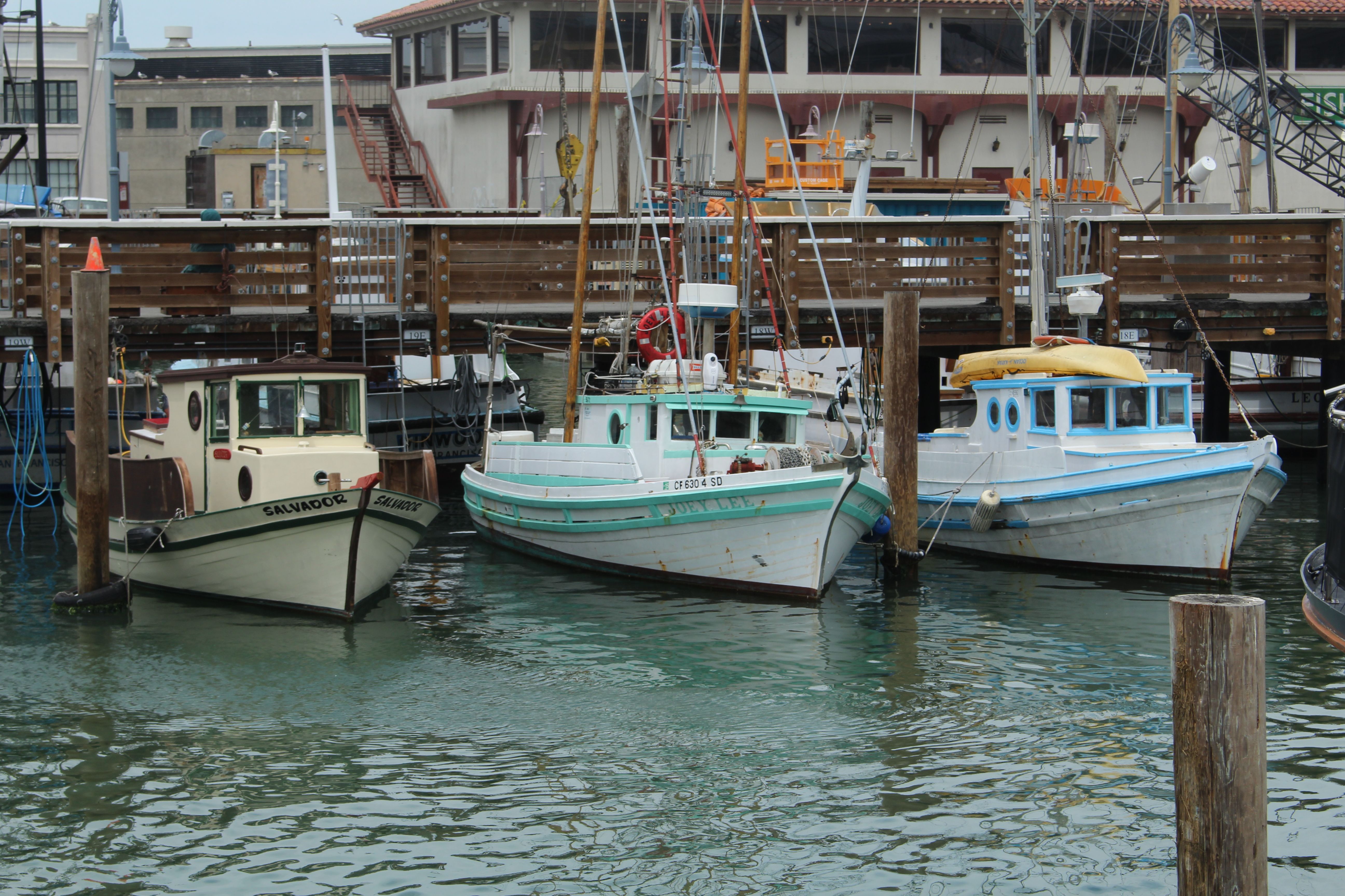 Fishing Boats Docked in San Francisco Harbor · Free Stock Photo