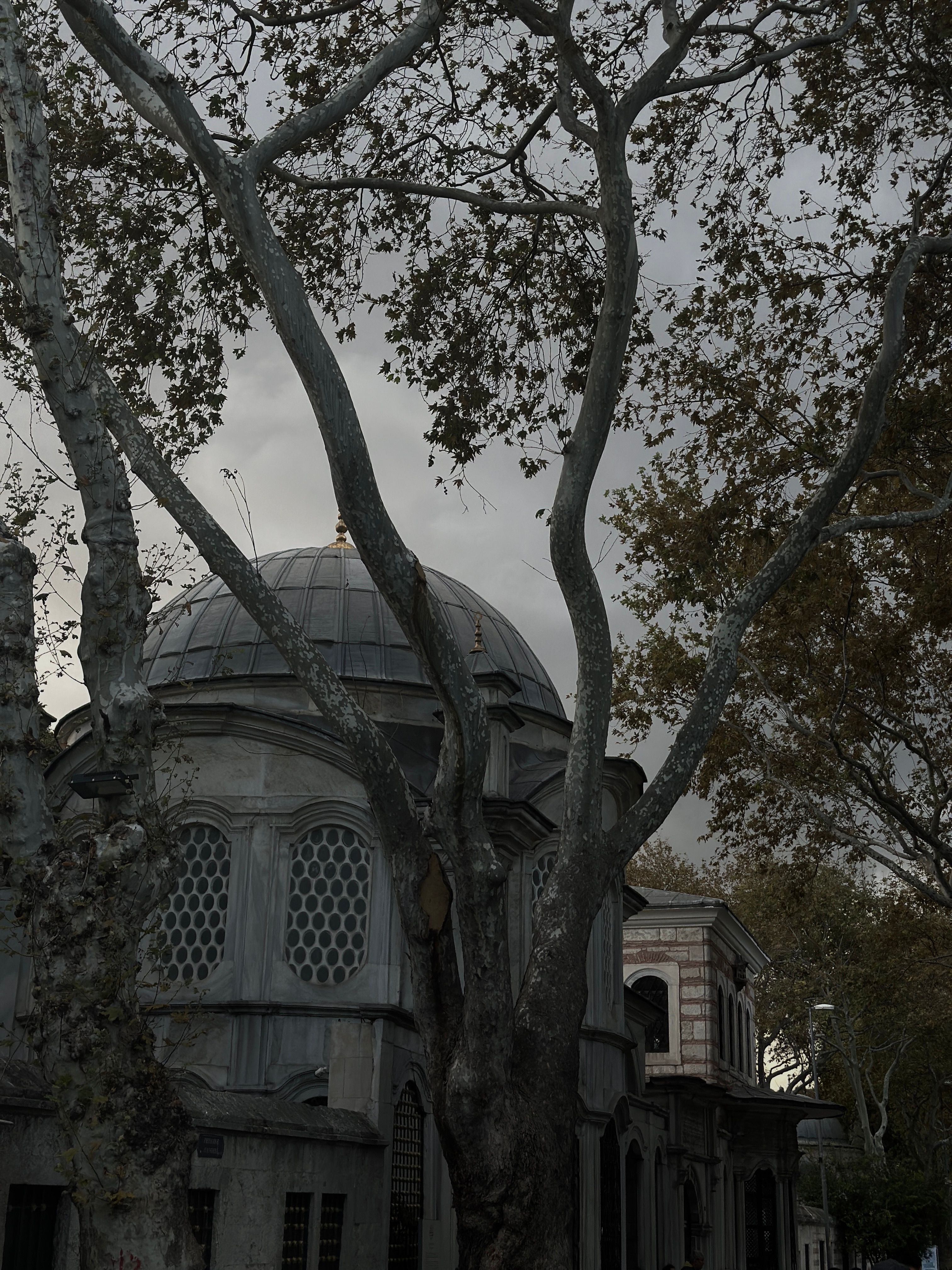 Historic Dome and Trees in Istanbul, Türkiye · Free Stock Photo