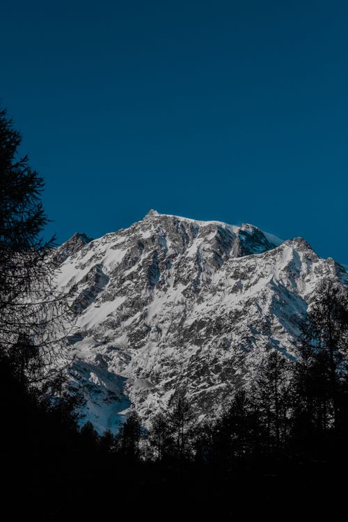 Free A stunning snow-covered mountain peak rising sharply under a clear blue sky framed by trees. Stock Photo