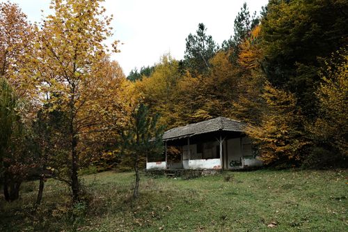 Free Charming rustic cabin amidst colorful autumn forest with vibrant fall foliage. Stock Photo