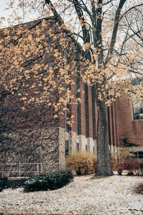 Free Elegant autumnal scene with a brick building and fallen leaves in Milwaukee. Stock Photo