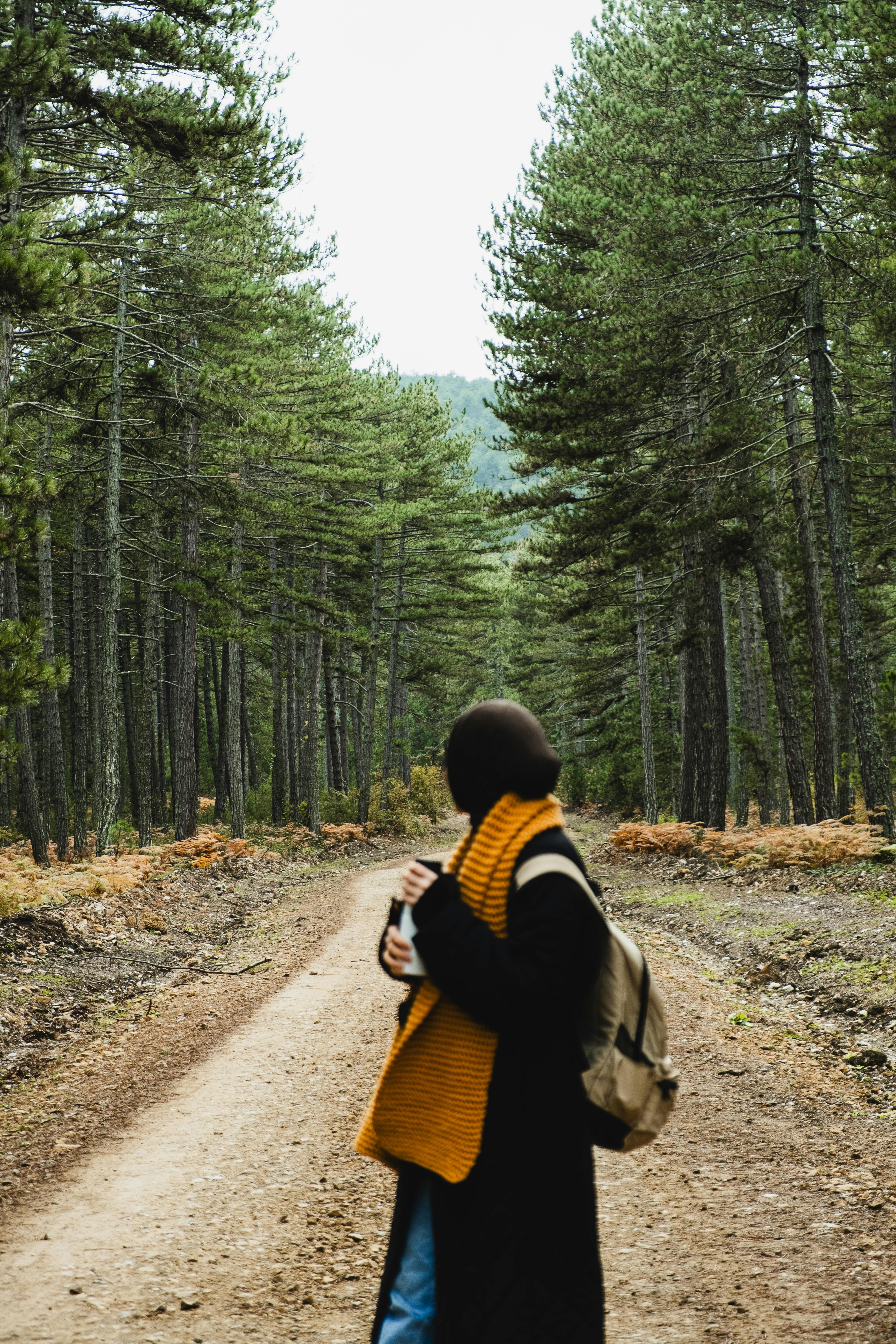 A woman in cozy attire walking through a tranquil pine forest trail during autumn.