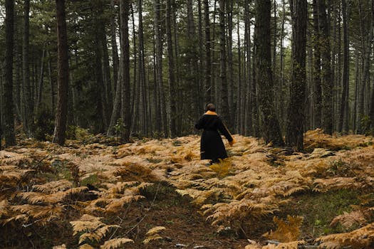 A person walks through a forest with brown ferns and tall trees, evoking an autumn mood.
