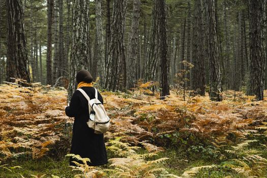 A solitary woman in a forest, wearing warm clothing and a backpack, surrounded by fall foliage.