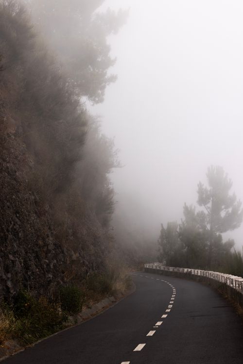 Free A misty winding road through lush forest in Madeira, Portugal creates a serene atmosphere. Stock Photo