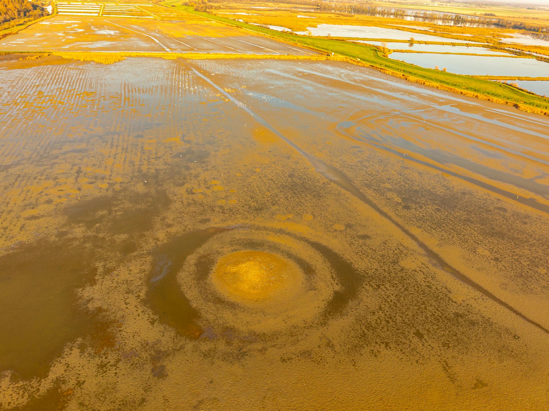 Aerial photograph showcasing flooded farmland in Garešnica, Croatia.