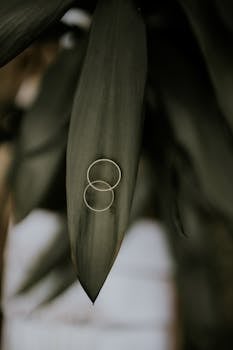 Close-up of two wedding rings placed artfully on a green leaf, symbolizing unity and love.